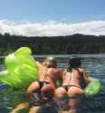 asses in a lake