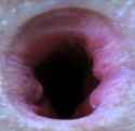 s1733976682610949