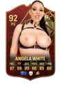 avn-awards-cards-v0-mt4v8icycyfc1