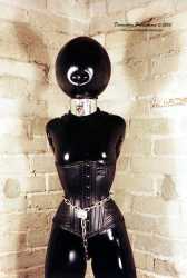 DP163bw