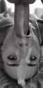 213 KB