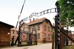 Auschwitz front