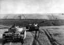 German tanks at the Battle of Kursk