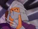 Shredder ponder