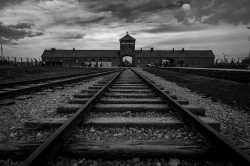 holocaust