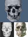 Northern_WHG_Types