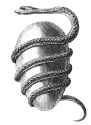 Orphic-egg