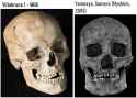 villabruna 1 whg yamnaya skull shape