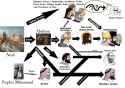 israelites whites semites shemites japhetites bible