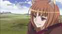 holo