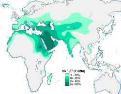 Haplogroup_J_(Y-DNA)-1282968730