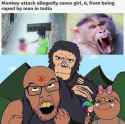 monkey saves girl.jpg