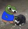 cat apu pet.jpg