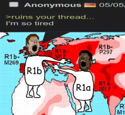 1.79 MB