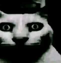7 KB
