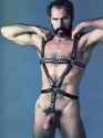 RichardLocke harness