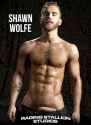 Shawn Wolfe 030
