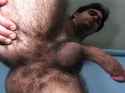 hairy taint and hole