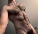 hairy chest 57