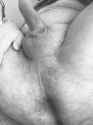taint 8230