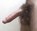 bush bush 446
