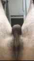 2024-Lucas.hairyhole