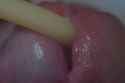 DSC06100
