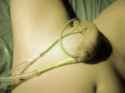 IMG001797