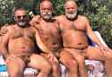 3 bears old