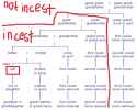 cousinchart