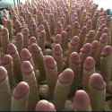 dicks