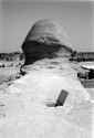 great-sphinx-giza-old-photograph (10)