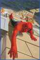The Amazing Spider-Man By Daniel acuna- 12py