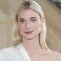 debicki_collarbones