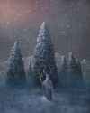 andy-kehoe-midwinter-orison