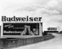 sixties budweiser billboard