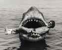 JAWS-869 copy 2