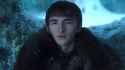 branstark1