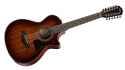 Taylor 362ce 12-String GC Mahogany-Blackwood