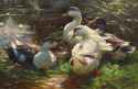 Alexander Max Koester (German, 1864 - 1932) -Four ducks at a Pond