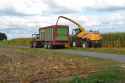 corn silage germany