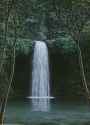 tomas_sanchez_-_escuchador_de_aguas__2007