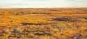 MattVincenteGrasslands2