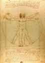 Da_Vinci_Vitruve_Luc_Viatour_(cropped)