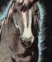 KingComics58RedmenHorse