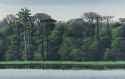 tomas_sanchez_-_orilla_06_1990