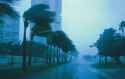 monsoon
