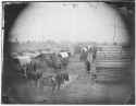 1860 Camp scene. Showing winter huts and corduroy roads, ca. 1860 - ca. 1865