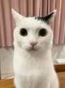 @takeru0321neko_1459823058751922179_20211114-095834