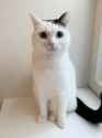 @takeru0321neko_1744853365853688121_20240109-224714